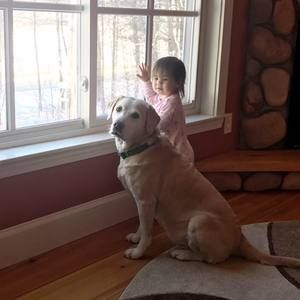 Meet your Posher, Josh